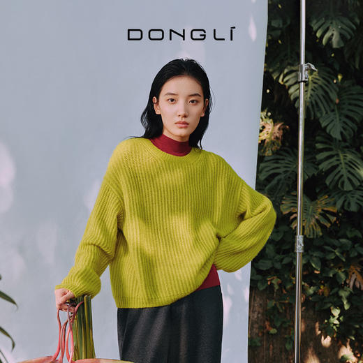 东黎 • 复苏的呼吸 物候已新 女士柔软亲肤春秋百搭圆领套衫 6021 商品图0