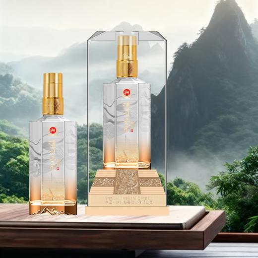 泸州老窖股份出品·泸州鉴藏·天瑞祥，52°浓香型白酒 500ml*2瓶/送新年手提礼袋 商品图5