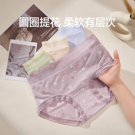 芬腾中腰女新款内裤yc0225015 商品图0