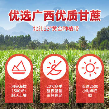 南字牌甘蔗红糖粉454g 广东老字号 一级纯正正宗红糖老红糖大姨妈生理期 /粮油调味 /调味品 /糖 商品图0