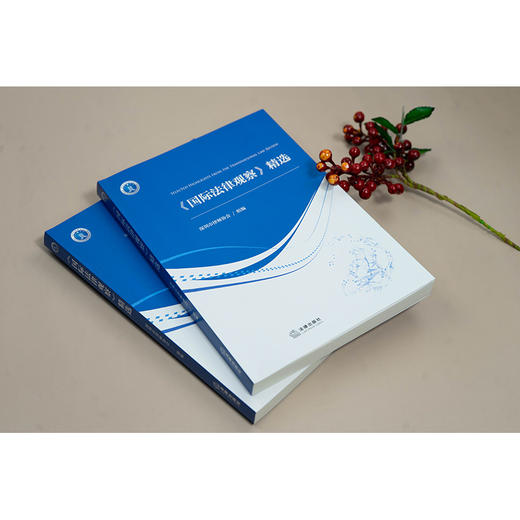 《国际法律观察》精选 深圳市律师协会组编 法律出版社 商品图1