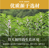 【YC】 大名府香油2.5L 商品缩略图2