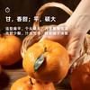 2月24日起发企鹅市集|四川眉山 甘平蜜橘 礼盒装/家庭装可选 滋味浓郁 果粒分明 商品缩略图4