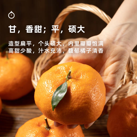 2月24日起发企鹅市集|四川眉山 甘平蜜橘 礼盒装/家庭装可选 滋味浓郁 果粒分明 商品图4
