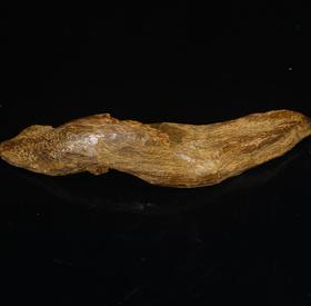 BC.SN2.3-3   富森红土沉水（肉），14.2g