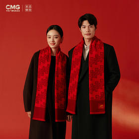 【甄选年礼文创佳品❗️简洁大方配色雅致】2026马年总台春晚围巾骐骥驰骋礼盒装CMG总台文创礼物送礼。jd