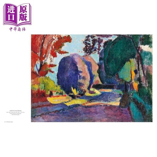 预售 【中商原版】Matisse: The Bigger Picture 进口艺术 马蒂斯作品集 含6幅大型折页画作+精美刷边 商品图2