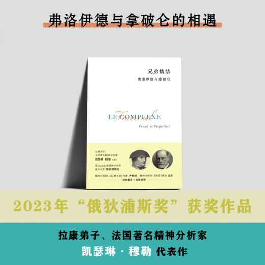 兄弟情结：弗洛伊德与拿破仑 | 法国精神分析图书大奖“俄狄浦斯奖” 商品图0