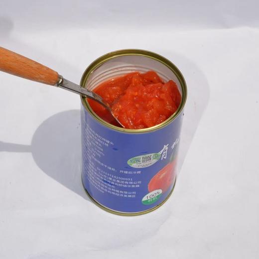 有机西红柿丁 番茄酱 配料只有新鲜西红柿 味道浓郁 炒菜火锅都可 省工省时 商品图1