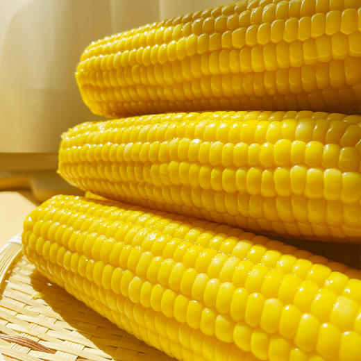 【鲜好棒 】黄糯玉米200g*8 商品图3
