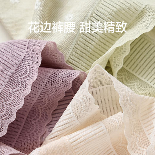 芬腾中腰女新款内裤yc0225015 商品图3
