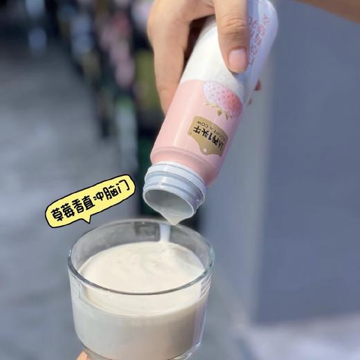 认养1头牛 白草莓藜麦风味酸奶 商品图2