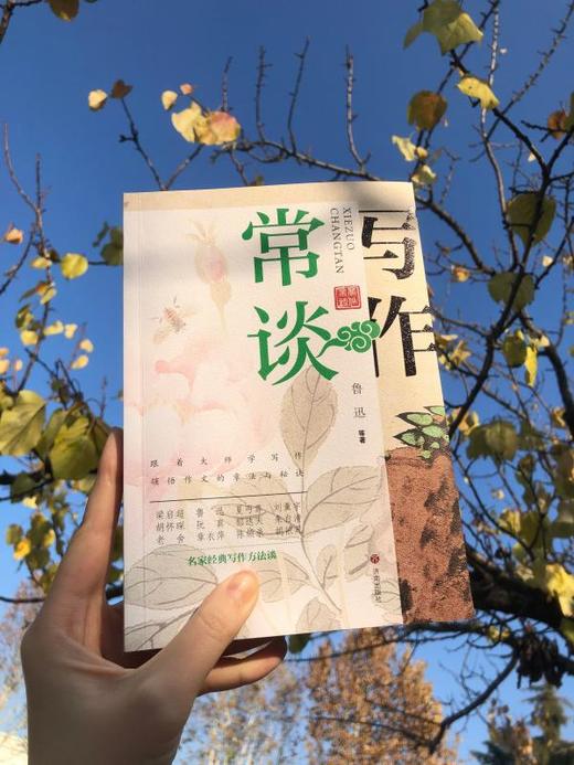 经典常谈+写作常谈（2册）梁启超 鲁迅 老舍 郁达夫等12位名家带你学写作 商品图5