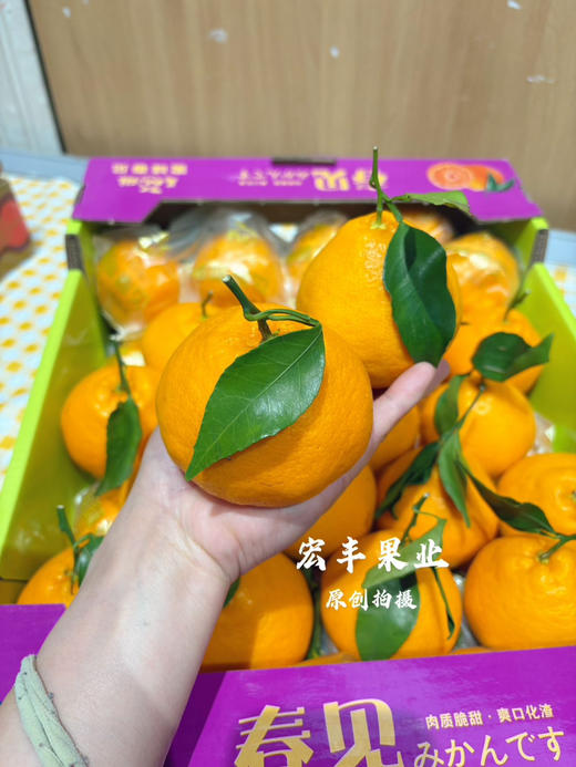 宏丰精选 春见耙耙柑，口感甜，肉质细嫩、味道浓郁，活动价6.98元一斤 商品图1