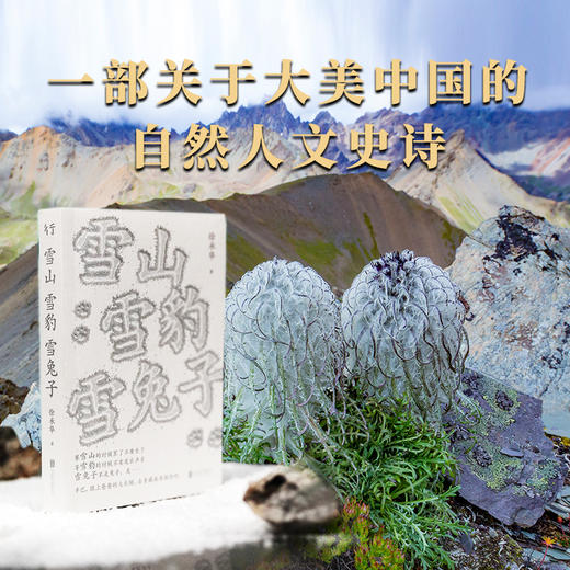 雪山雪豹雪兔子 商品图1