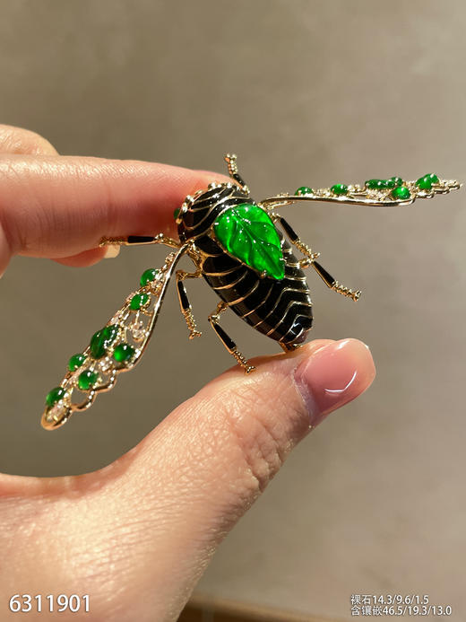 6311901，知了胸针。具体价格微信咨询 商品图0