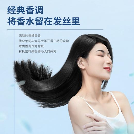 支持试用赠品！不满意退款！Dr.Adolph 头皮控油平衡复合酸凝胶/茶麸冰护理专研洗发水/护发素 头皮控油/去屑/舒缓 商品图2