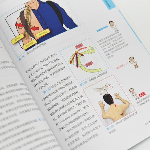 基于运动解剖学的功能评估指南 上肢篇 运动系统功能损伤障碍评估 运动系统损伤与障碍检查技术 肩肘手指关节功能障碍评估 商品图4