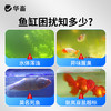华畜鱼缸清澈剂水族用水质净化免换水特清洁清水清澈澄清剂净水王 商品缩略图1