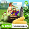 【源自黑龙江❗️有机糯玉米】新鲜农家白玉米棒子，嫩玉米糯蔬菜，糯润可口，现摘现发，新鲜采摘，香甜软糯，放心吃进口中老年健康L-d 商品缩略图1