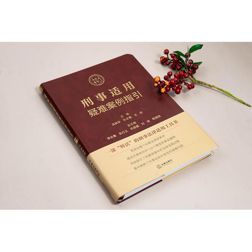 刑事适用疑难案例指引 周其华 孙之智 王收主编 法律出版社 商品图1