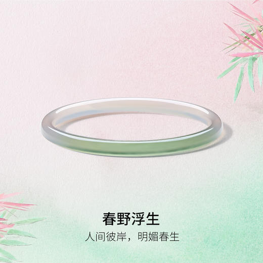 J1011823-2011-A0 周六福 【母亲节礼物】玉髓手镯显白水润细腻玉手镯温婉美人镯细条玉镯女 54mm 商品图2