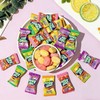 【果味浓郁❗️香甜可口】水果软糖马来西亚风味网红装小零食混合果汁糖果散装结婚喜糖年货。jd 商品缩略图1