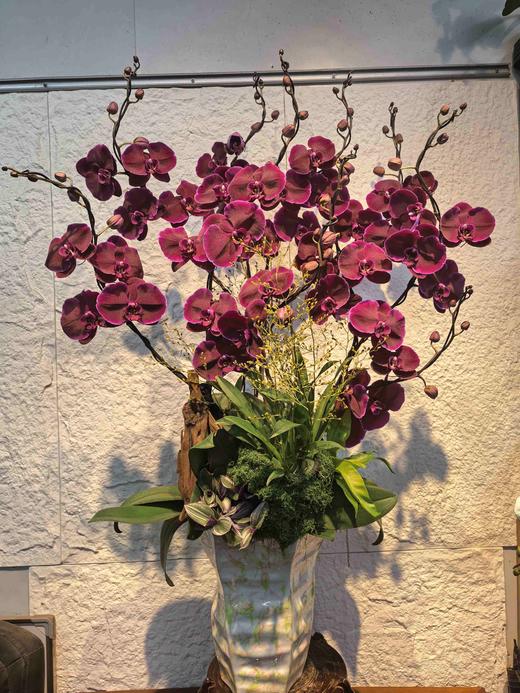 高端大气蝴蝶兰盆栽丝绸10支（新品） 商品图4