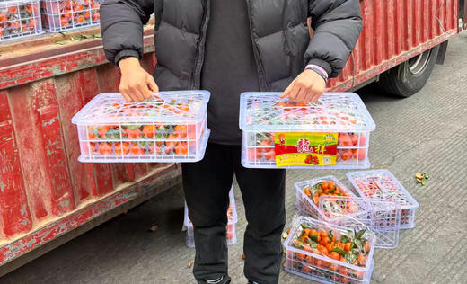 预定团28.8元1筐广西砂糖橘中大果毛重约8斤左右（2.5-2.6提货） 商品图0