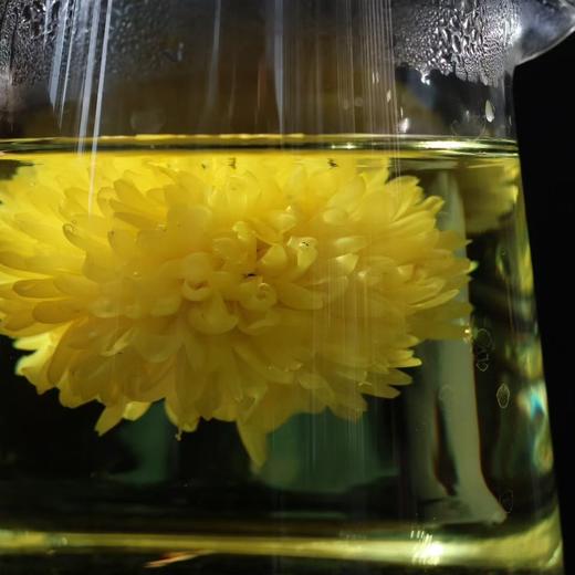 当次购物满1000可拍 【天然皇菊（花茶）】 商品图3