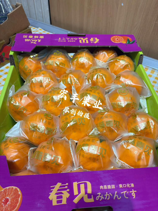 宏丰精选 春见耙耙柑，口感甜，肉质细嫩、味道浓郁，活动价6.98元一斤 商品图4