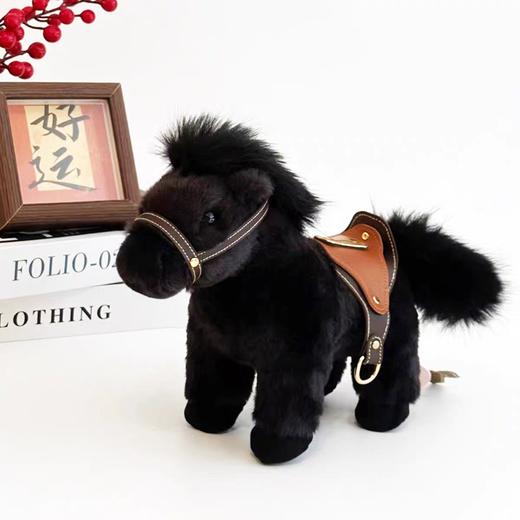 站马22厘米黑色 商品图0