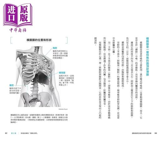 【中商原版】运动员都在做的疲劳恢复训练 随书附赠28支示范影片	中野崇	采实文化	港台原版 商品图3