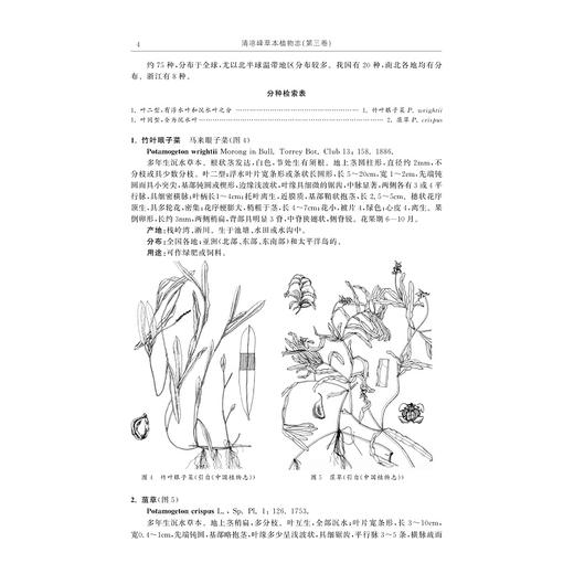 清凉峰草本植物志（第三卷）/金孝锋 程樟峰 徐跃良 主编/浙江大学出版社 商品图4