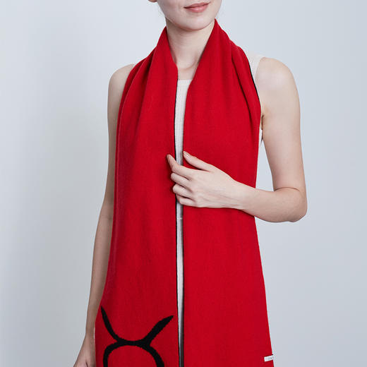 十二星座羊绒围巾 SJF17P903 商品图1