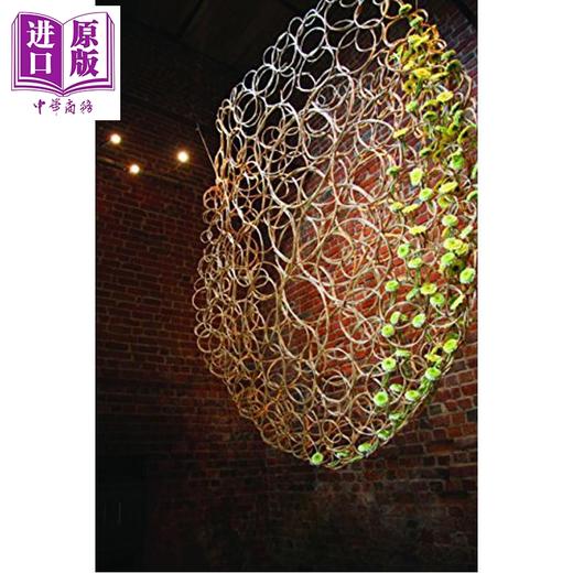 预售 【中商原版】Formidable Florists 进口艺术 强大的花店 商品图3