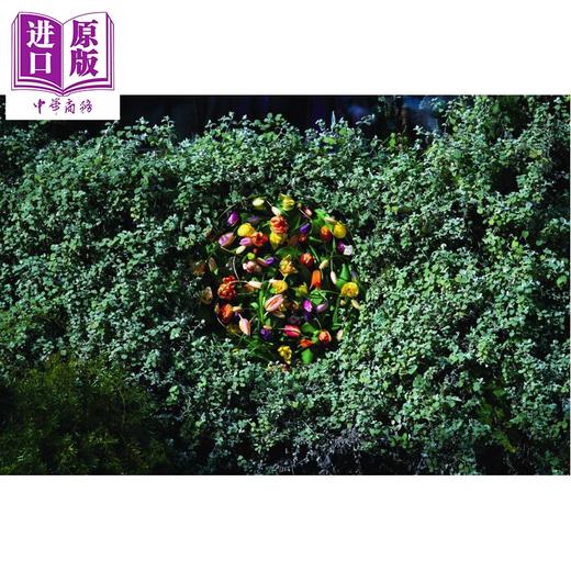 预售 【中商原版】Formidable Florists 进口艺术 强大的花店 商品图2