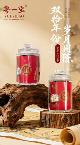 【粤一宝】10年+20年陈皮礼盒宝