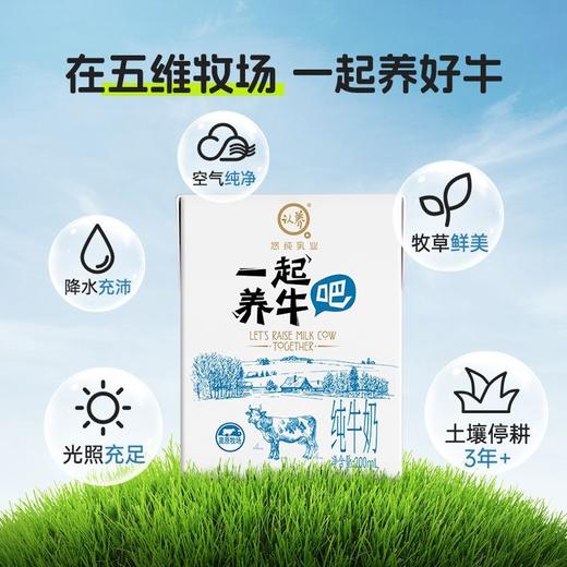 【粉丝专属❗️认养一起养牛吧🔥纯牛奶200ml*10盒】优选黄金奶源滴滴好牛奶，冰淇淋口感醇厚丝滑，儿童学生补钙早餐奶L-d 商品图1
