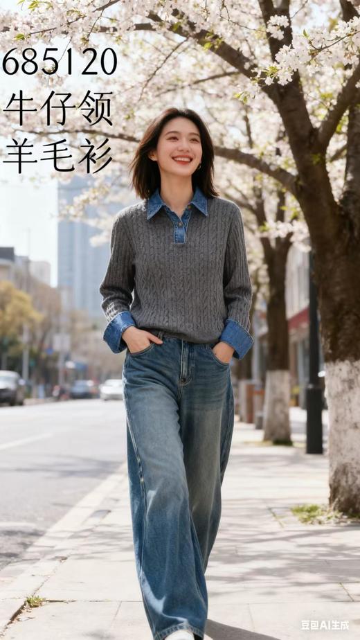 685120牛仔领羊毛衫 商品图0