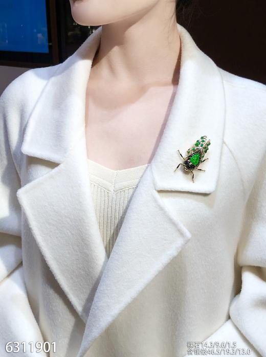 6311901，知了胸针。具体价格微信咨询 商品图4