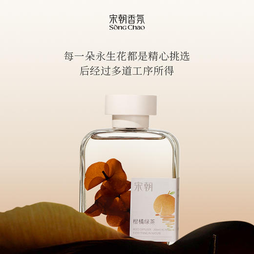 宋朝丨自然万物系列无火香薰【拍2赠礼袋+随机香味蜡烛*1】 商品图2