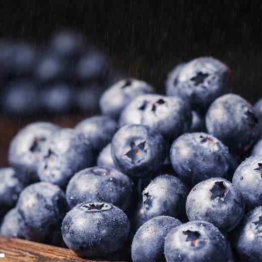 【云南蓝莓】花香型蓝莓果香四溢脆甜多汁产地直发 商品图3