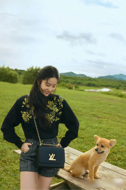 LV Twist 蓝色 水波纹 牛皮 中号 金扣 斜挎包 商品图3