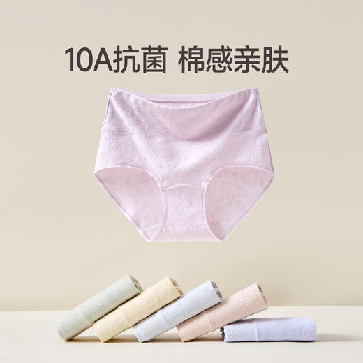 芬腾女士内裤10A级抗菌防螨棉质裆高腰棉质三角裤透气舒适短裤头 商品图0