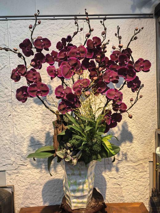 高端大气蝴蝶兰盆栽丝绸10支（新品） 商品图2