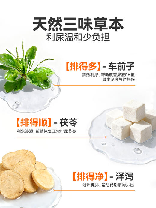 普安特蔓越莓泌尿片宠物猫咪狗通用尿道系统感染利尿通营养泌能粒 商品图3