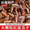 云南大颗粒红皮生瓜子250g 颗颗精选无坏果 粒大饱满 香脆新鲜 商品缩略图0