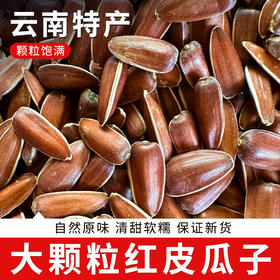 云南大颗粒红皮生瓜子250g 颗颗精选无坏果 粒大饱满 香脆新鲜