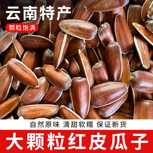 云南大颗粒红皮生瓜子250g 颗颗精选无坏果 粒大饱满 香脆新鲜 商品图0